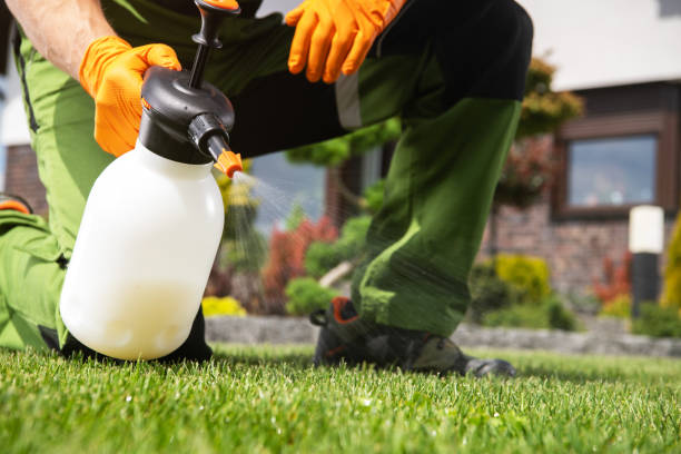 Best Residential Pest Control  in Stokesdale, NC