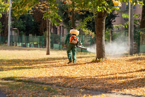 Best Exterminator Services  in Stokesdale, NC